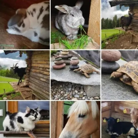 Tatil Evi Ettlerlehen *